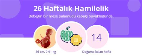 26 HAFTALIK GEBELİK (HAMİLELİK) GÖRÜNTÜSÜ.